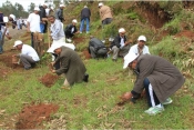 Ethiopian Airlines employees plant 2000 seedlings on the hills surrounding Addis Ababa