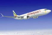 Ethiopian Boeing 737 Maxx