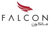 Falcon Aviation 