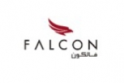 Falcon Aviation 