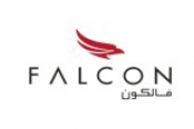 Falcon Aviation 