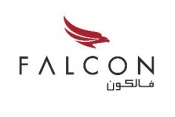 Falcon Aviation 